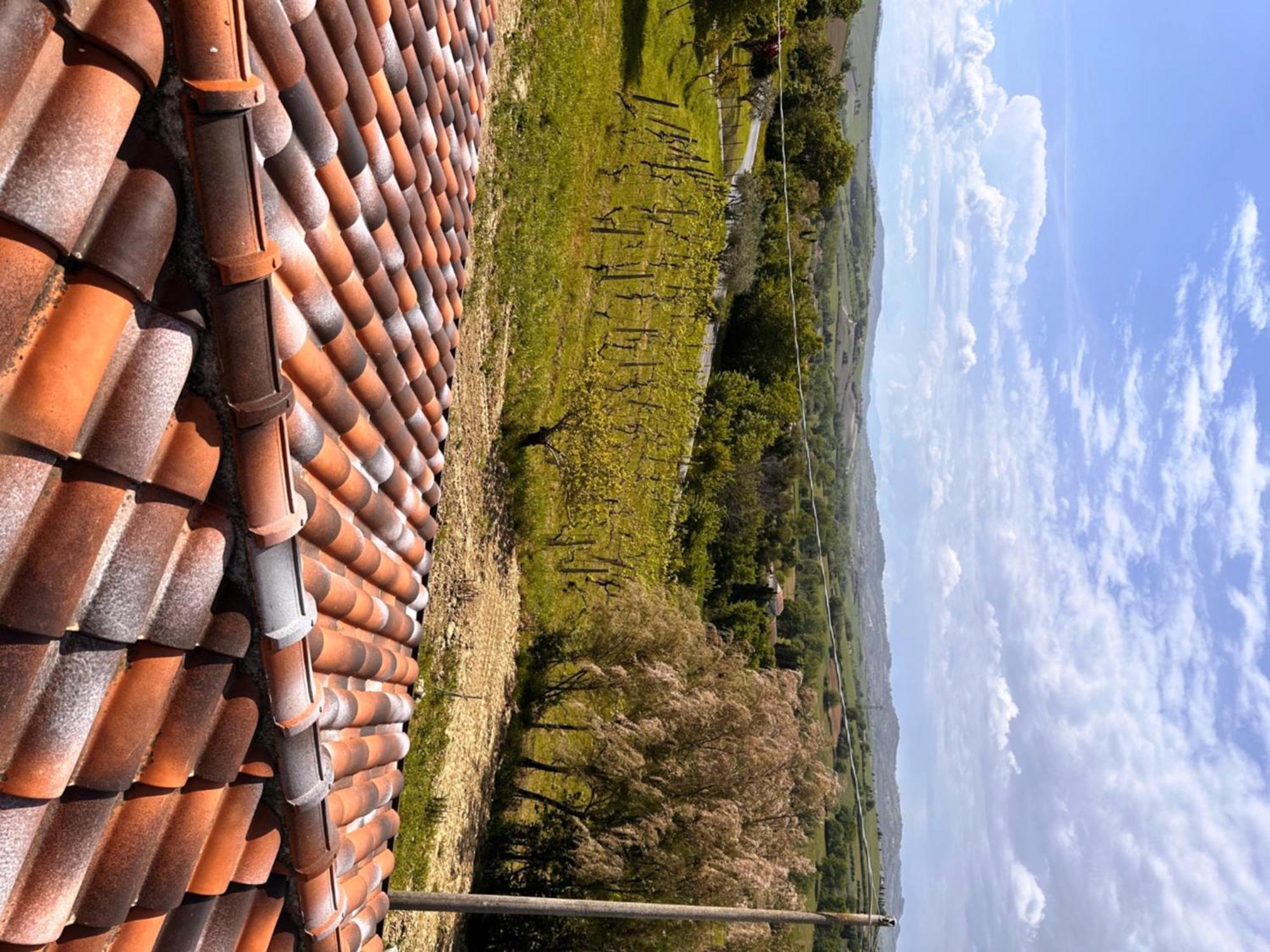 La Sosta Di Guido A Tavullia Bed & Breakfast ภายนอก รูปภาพ