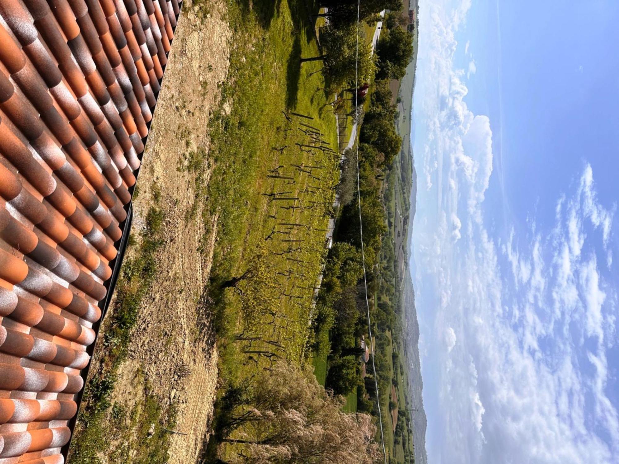 La Sosta Di Guido A Tavullia Bed & Breakfast ภายนอก รูปภาพ